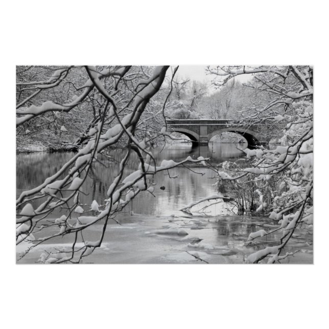 Arch Bridge über Frozen River im Winter Poster (Vorderseite)