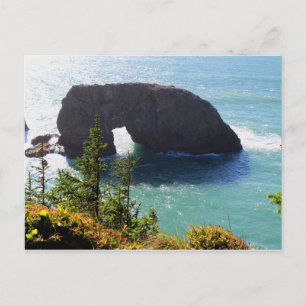 Arch Rock, Samuel H. Boardman Staat Park, Oregon Postkarte