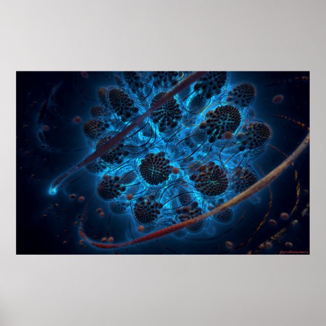 Archaea Poster (Vorne)