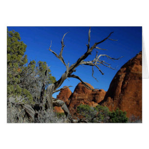 Arche Nationalpark Blank Card
