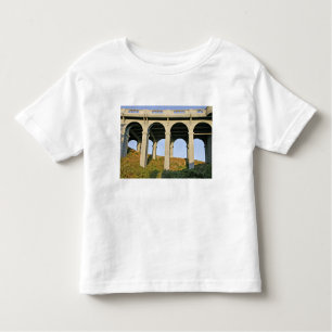 Arched unterstützt Patterson Memorial Bridge Kleinkind T-shirt