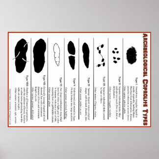Archeologisches Coprolite Types Poster