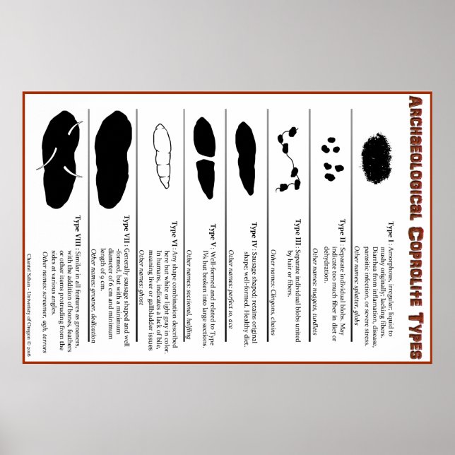 Archeologisches Coprolite Types Poster (Vorne)