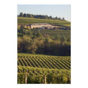 Archery Summit tan Gebäude auf Hügel Fotodruck