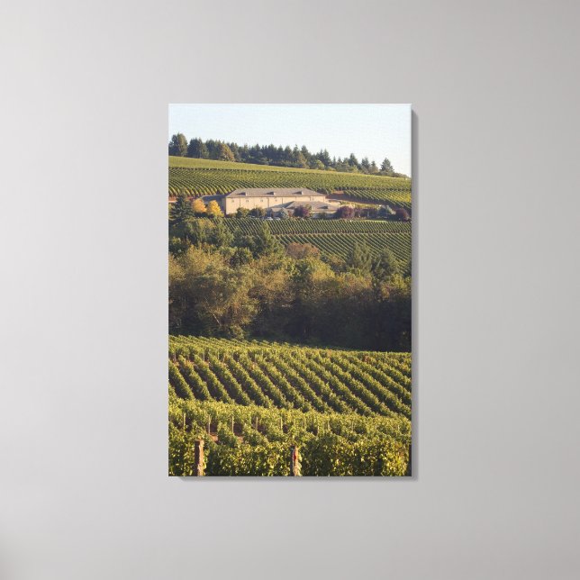 Archery Summit tan Gebäude liegt auf einem Hügel Leinwanddruck (Vorderseite)