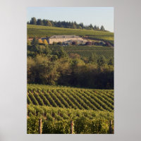 Archery Summit tan Gebäude liegt auf einem Hügel