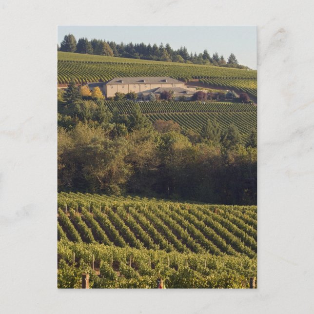 Archery Summit tan Gebäude liegt auf einem Hügel Postkarte (Vorderseite)