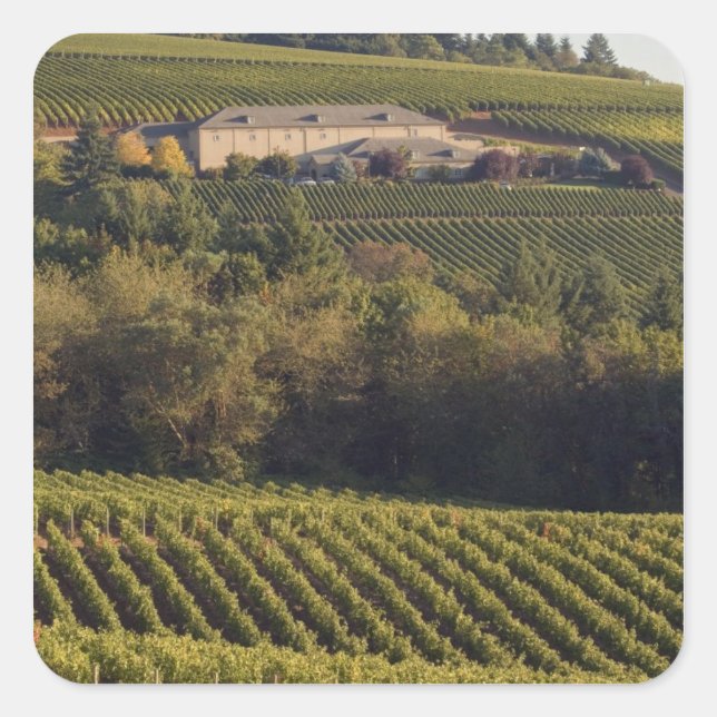 Archery Summit tan Gebäude liegt auf einem Hügel Quadratischer Aufkleber (Vorderseite)