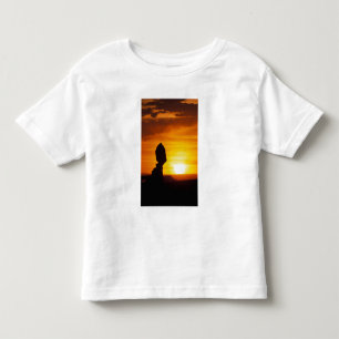 Arches National Park, UT Balance Rock bei Kleinkind T-shirt