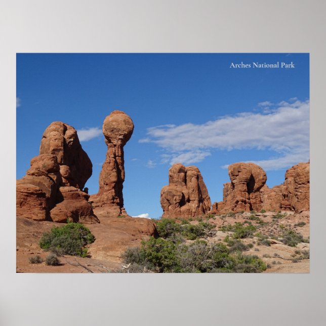 Arches Nationalpark Poster (Vorne)
