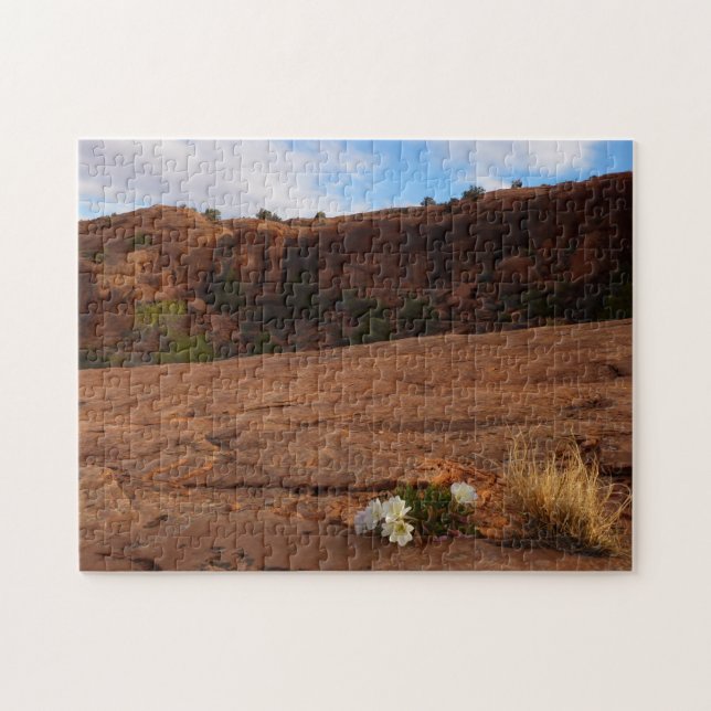Arches Slickrock und Abend Primrose Landschaft Puzzle (Horizontal)