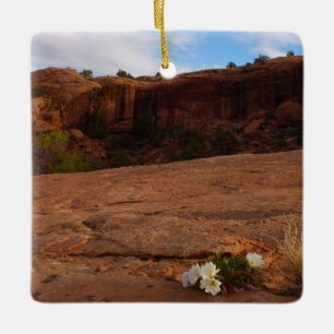 Arches Slickrock und Abendprimel-Landschaft Keramikornament