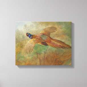 Archibald Thorburn Flying pheasant Bird Bilder Leinwanddruck