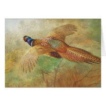 Archibald Thorburn Flying pheasant Bird Kunstkarte