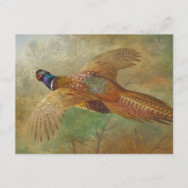 Archibald Thorburn Flying pheasant CC0583 Postkarte