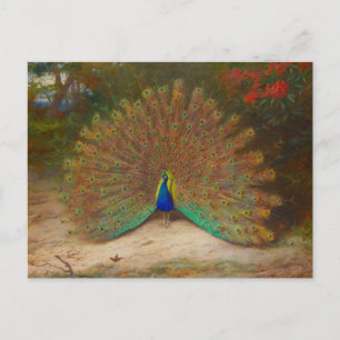 Archibald Thorburn Peacock KunstKunstkunst Postkarte