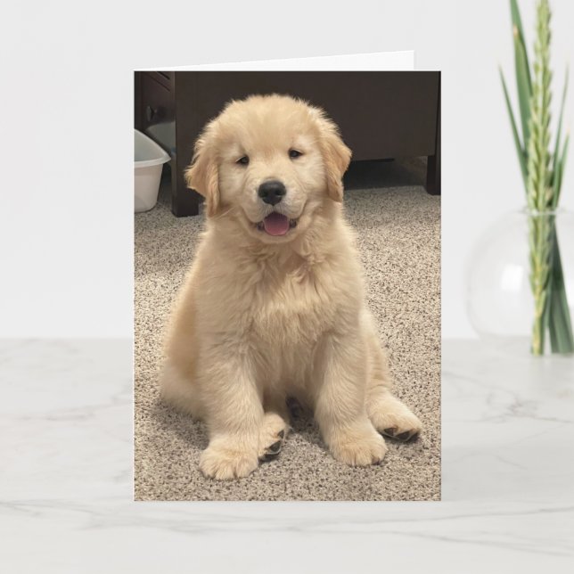 Archie's Adventures Birthday Card Dankeskarte (Vorderseite)