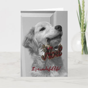 Archie's Adventures Blankokarte 14 Dankeskarte