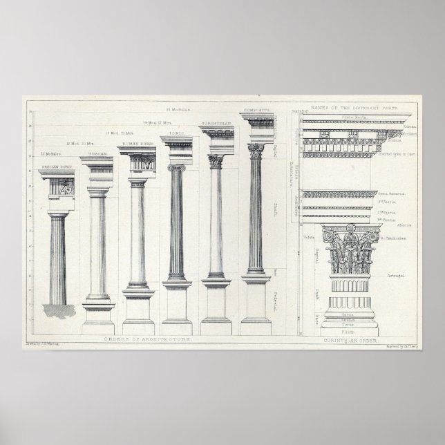 Architektur I: Bestellungen der Architektur Poster (Vorne)