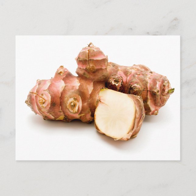 Archoke Jerusalem Postkarte (Vorderseite)