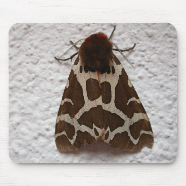 Arctia caja mousepad (Vorne)