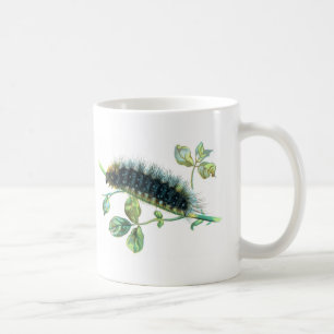 Arctia Caja Raupe Tasse