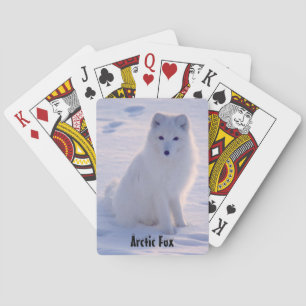 Arctic Alaskan White Fox Winter Pose Spielkarten