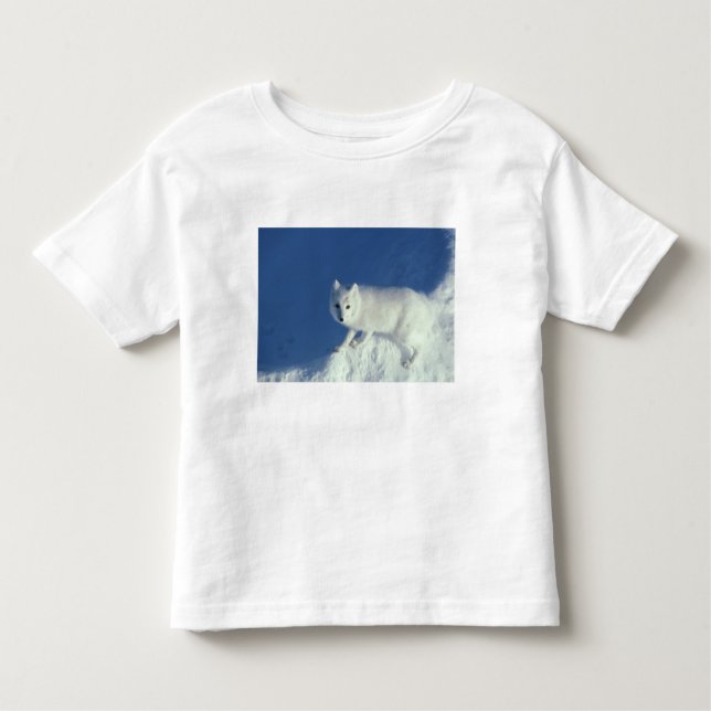 Arctic fox Alopex lagopus) Ein arctic fox Kleinkind T-shirt (Vorderseite)
