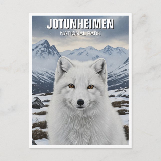 Arctic Fox im Jotunheimen-Nationalpark Norwegen Postkarte (Vorderseite)