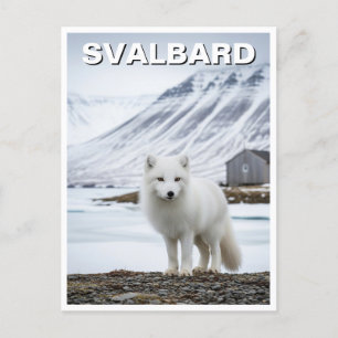 Arctic Fox in Svalbard Norwegen Postkarte