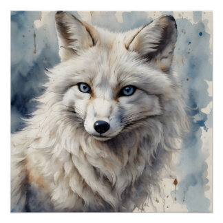 Arctic Fox no 3 Glossy Poster