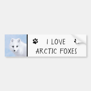 Arctic Fox Painting - Original Wildlife Art Autoaufkleber