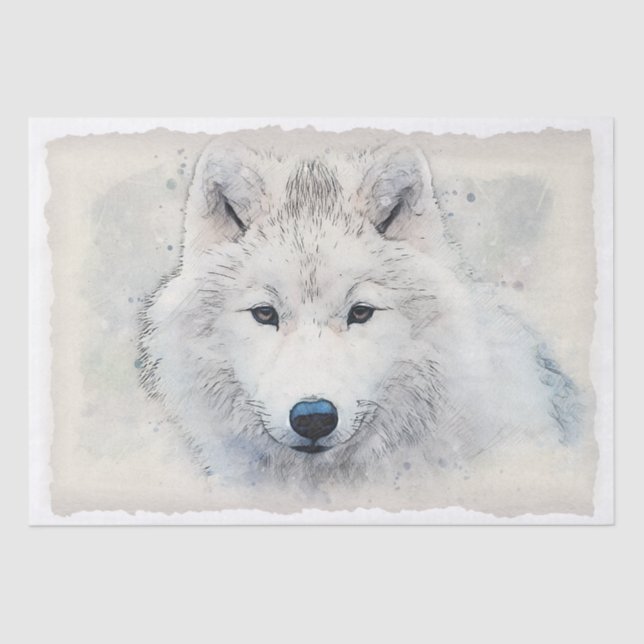 Arctic Fox Watercolor Seidenpapier (Vorderseite)