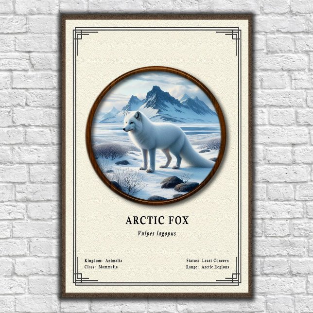 Arctic Fox Zoologie-Serie Poster (Von Creator hochgeladen)