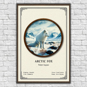 Arctic-Fuchs-Zoologie-Serie Poster