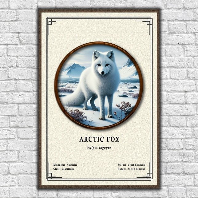 Arctic-Fuchs-Zoologie-Serie Poster (Von Creator hochgeladen)