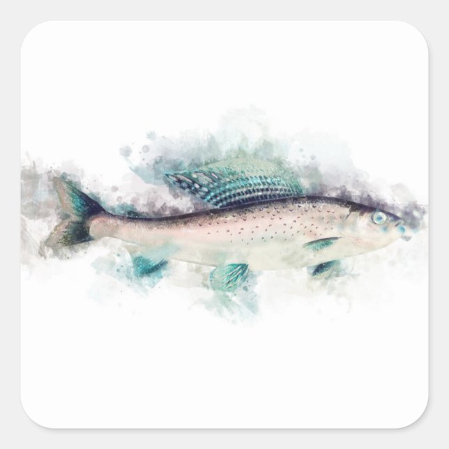 Arctic grayling Watercolor Salmon Fisherman Art Quadratischer Aufkleber (Vorderseite)