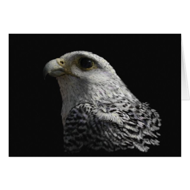 Arctic Gyrfalcon (Vorderseite (Horizontal))