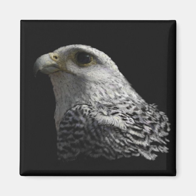 Arctic Gyrfalcon Magnet (Vorne)