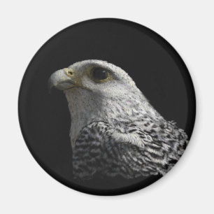 Arctic Gyrfalcon Magnet