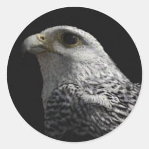 Arctic Gyrfalcon Portrait Painting Runder Aufkleber