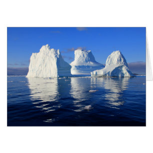 Arctic Icebergs Blue & White Blank Foto Note Card