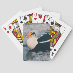 Arctic King Eider Waterfowl Bird Foto Design Deck Spielkarten