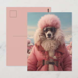 Arctic Poodle Postkarte