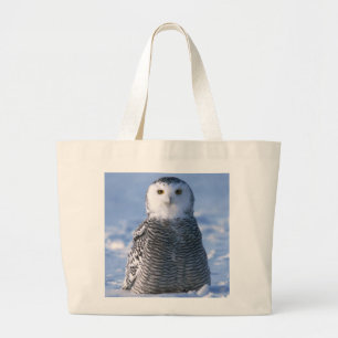 Arctic Snowy Owl Foto Designed Personal Jumbo Stoffbeutel