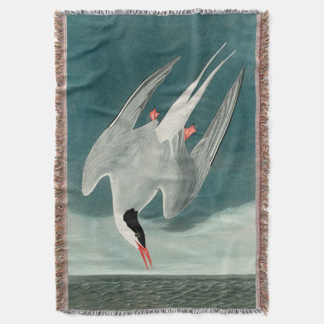 Arctic Tern Audubon Bird Wildlife Painting Decke (Vorderseite Vertikal)