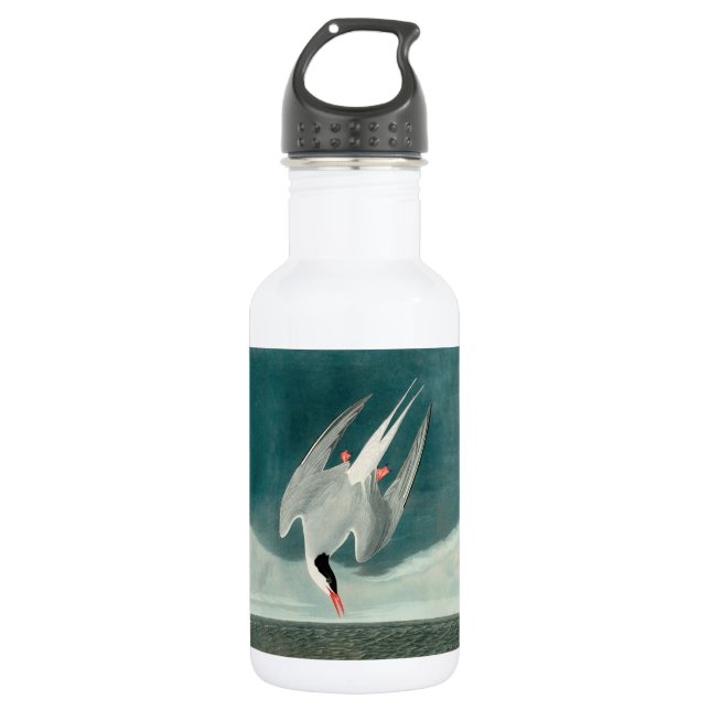 Arctic Tern Audubon Bird Wildlife Painting Edelstahlflasche (Vorderseite)