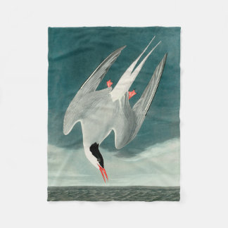 Arctic Tern Audubon Bird Wildlife Painting Fleecedecke