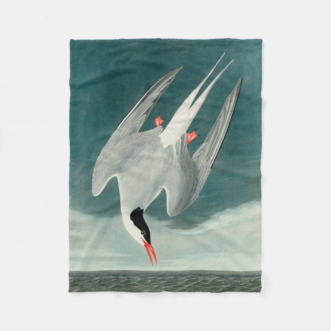Arctic Tern Audubon Bird Wildlife Painting Fleecedecke (Vorderseite)