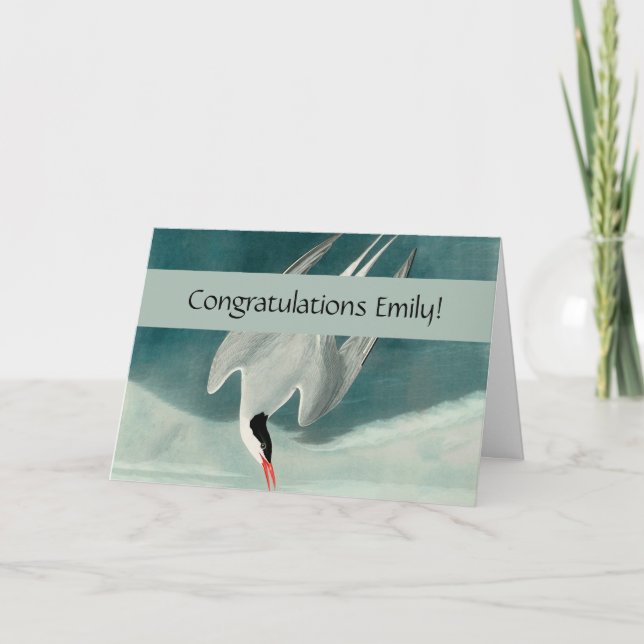 Arctic Tern Audubon Bird Wildlife Painting Karte (Vorderseite)
